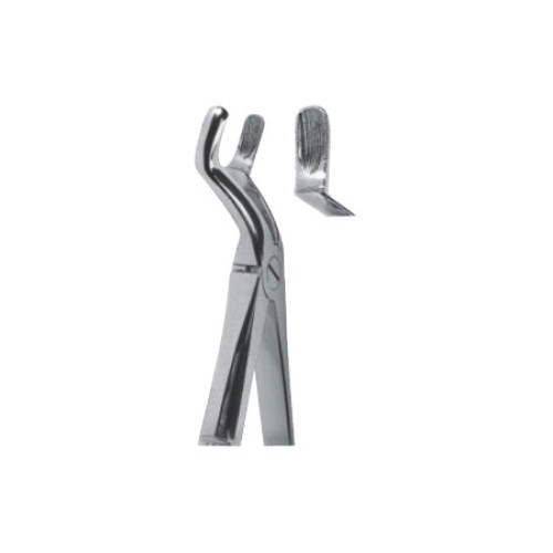 Tooth Extracting Forceps